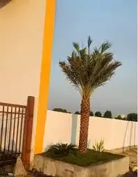 Jaagruthi Green Fields