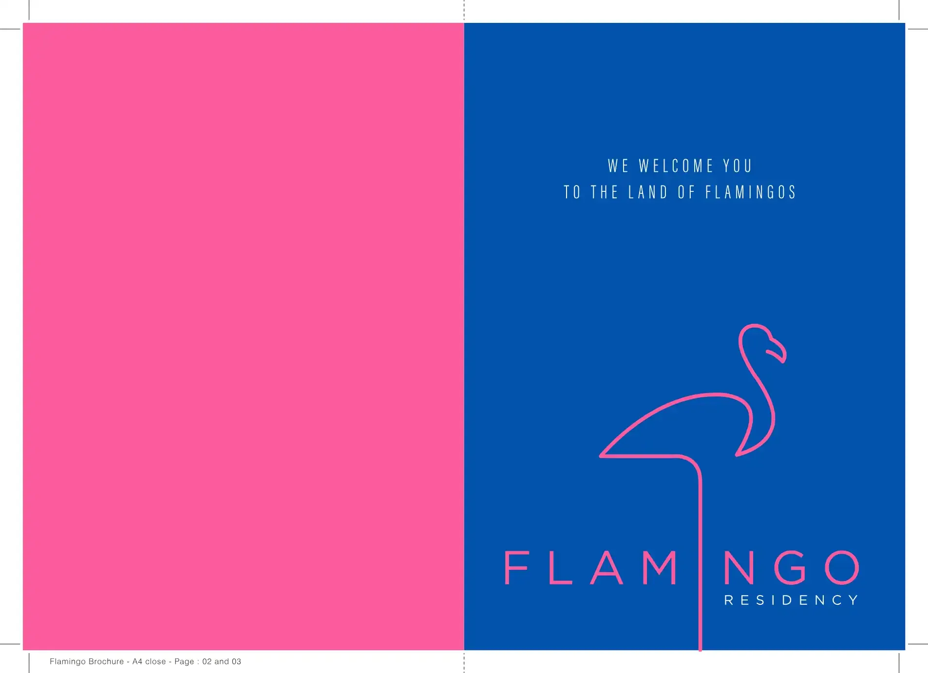 Flamingo