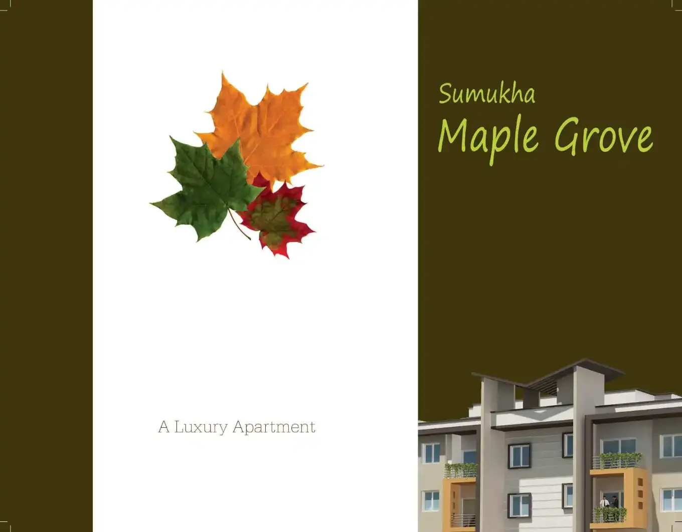 Sumukha Maple Grove