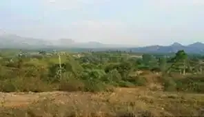 Sri Krishna Woodridge