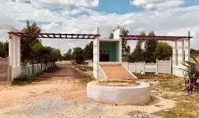 Aastha Sai Golden Orchids