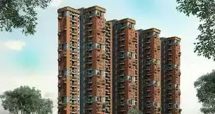 Total Environment Cirrus Minor