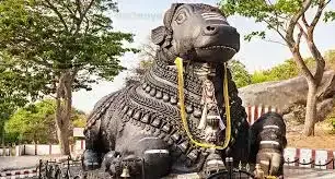 Nandi Royal