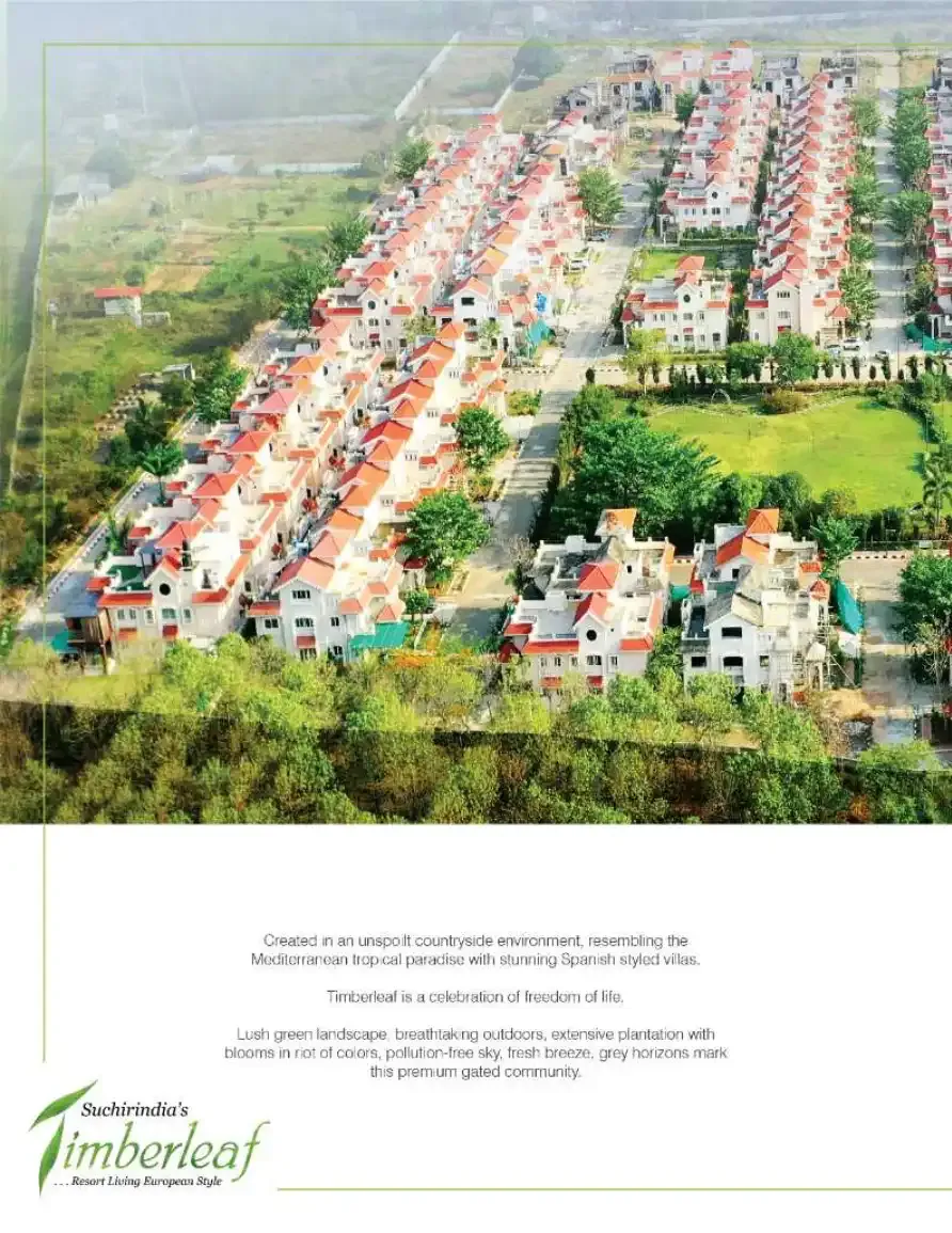 Innovative Timber Leaf