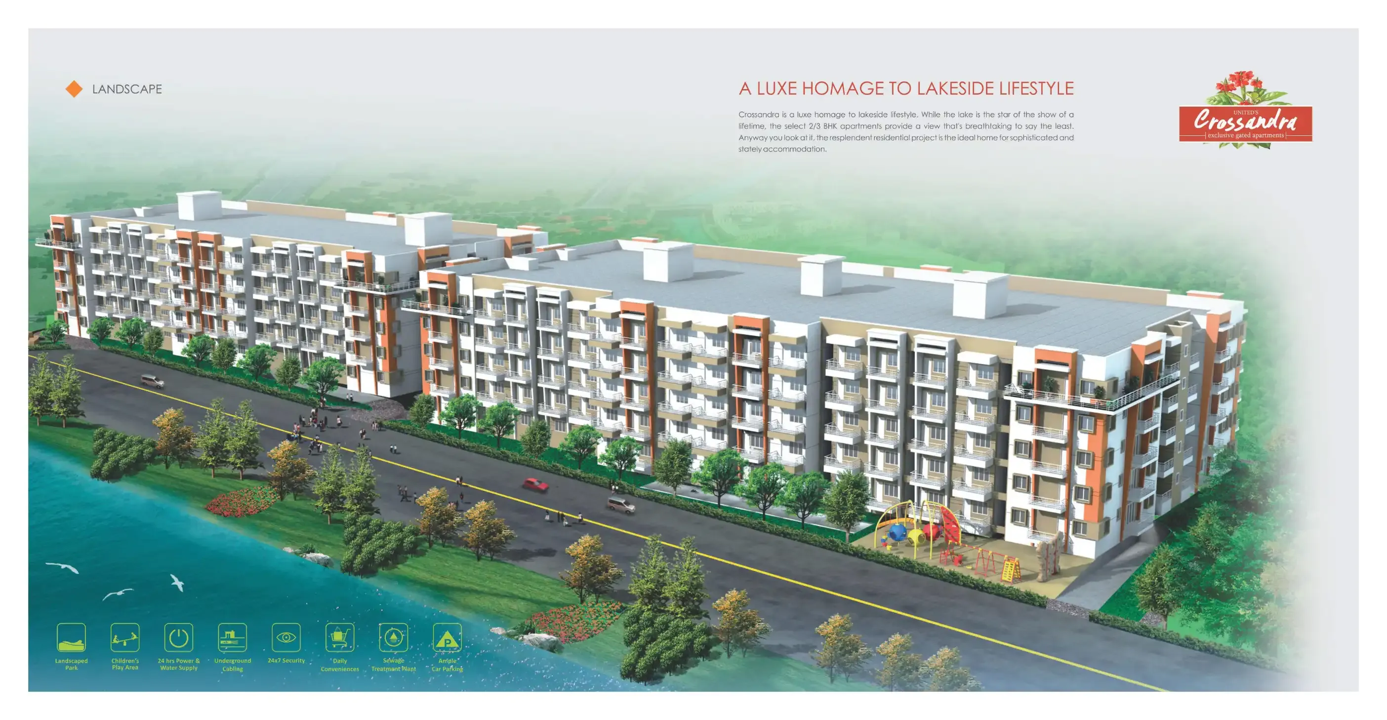 Akshaya Uniteds Crossandra