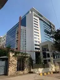 V4 Creative Meridian