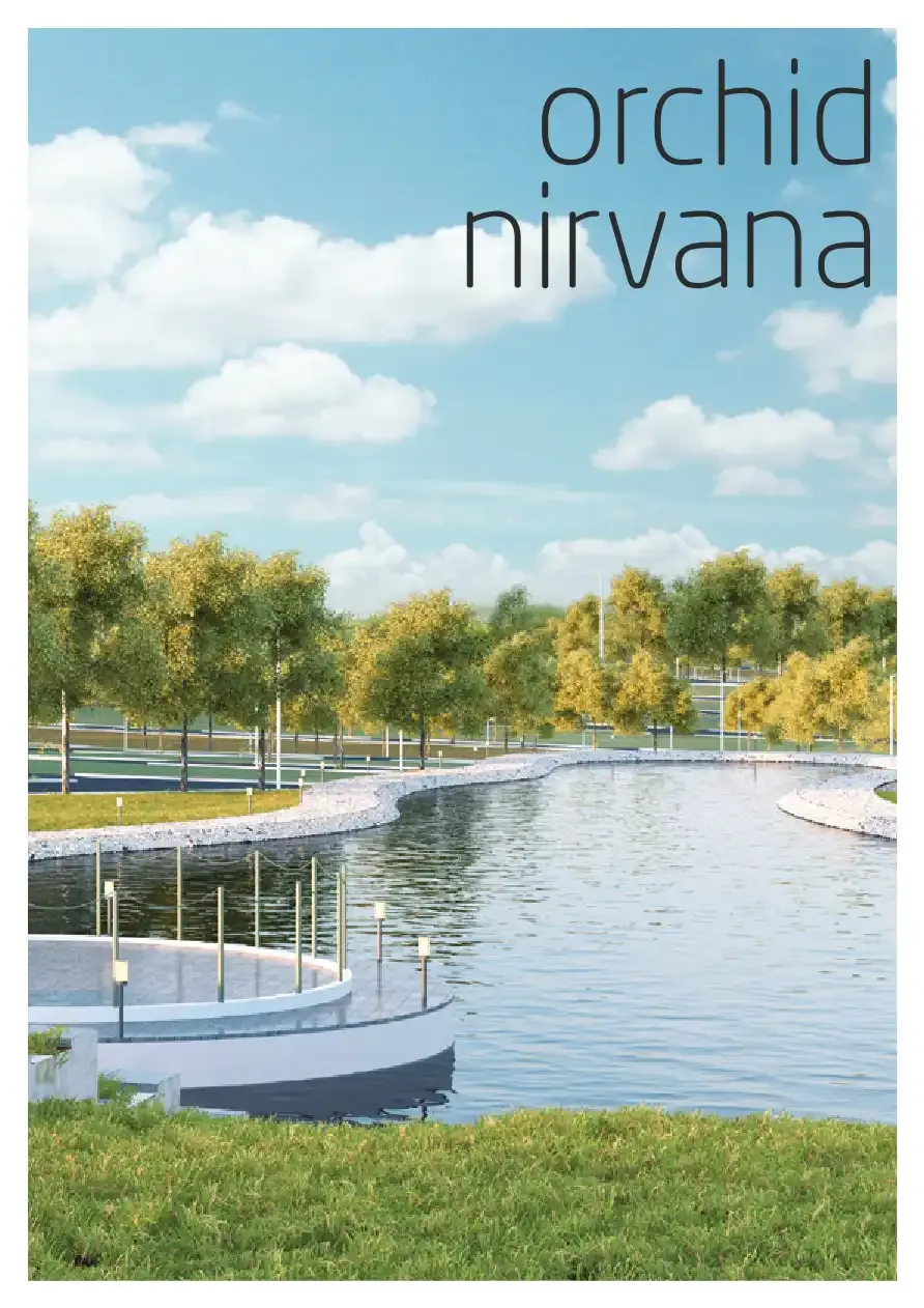 Orchid Nirvana