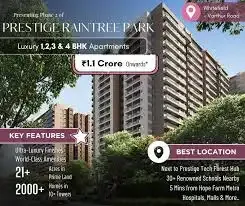 Pallavi Pristine Thangavelu