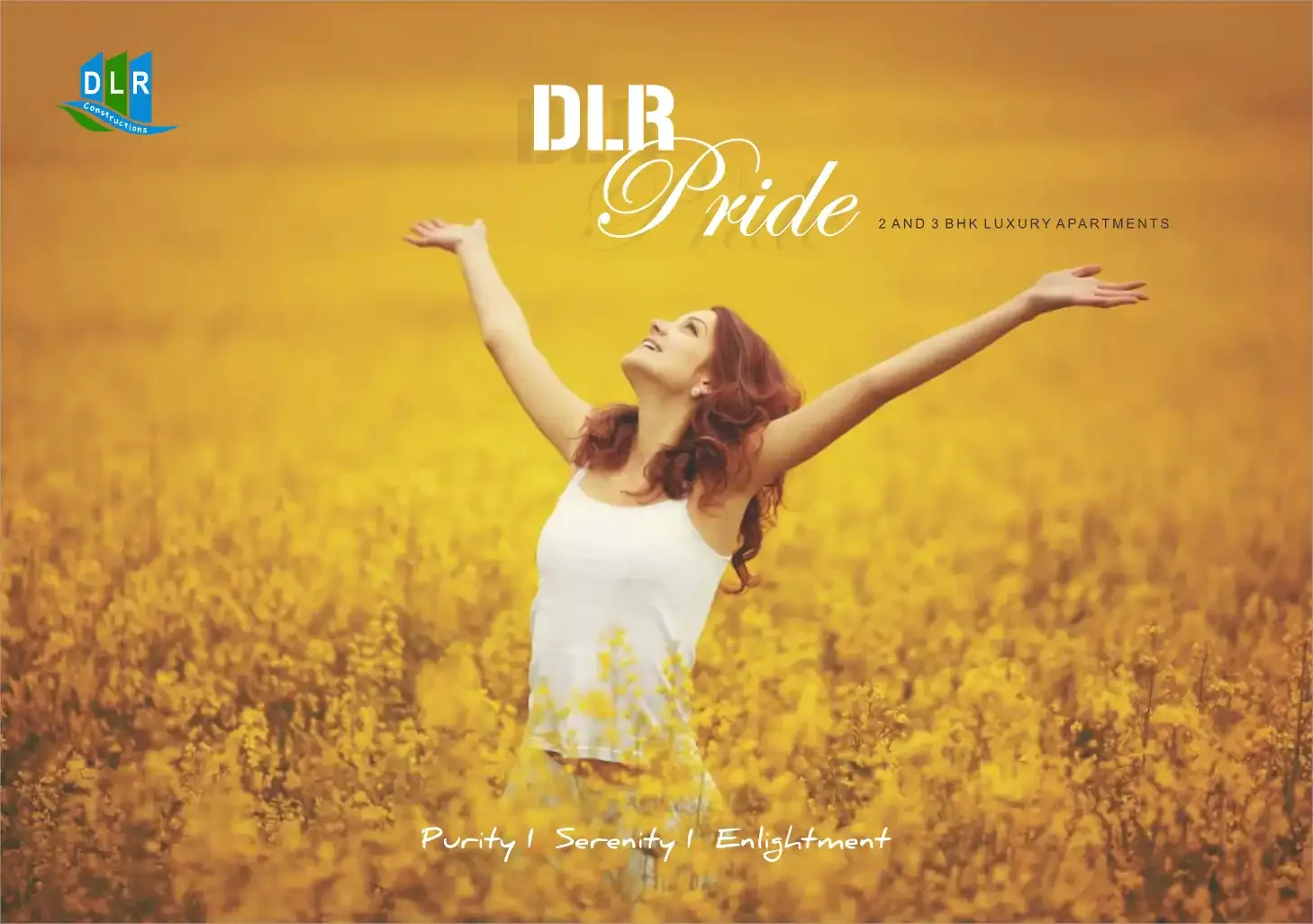 Dlr Pride