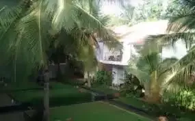 Prakruthi Jungle View