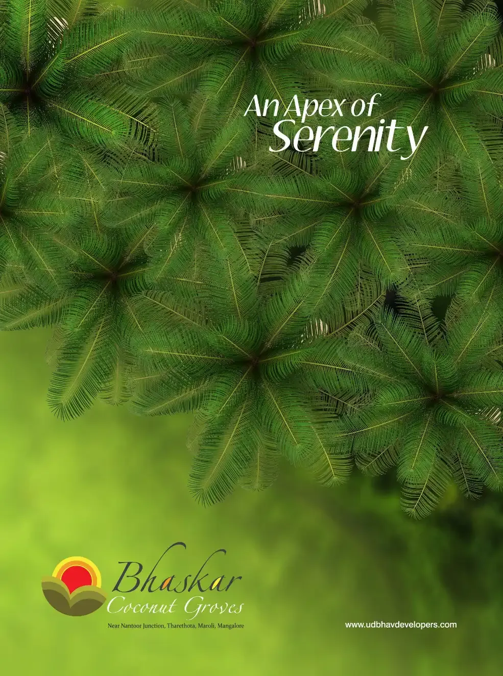 Coconut Grove Apartment