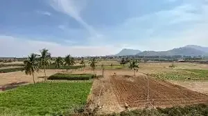 Wellnest Skandagiri County